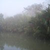 Dans les Sunderbans