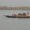 Dans les Sunderbans