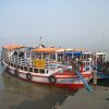 Dans les Sunderbans