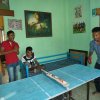 Ping-pong